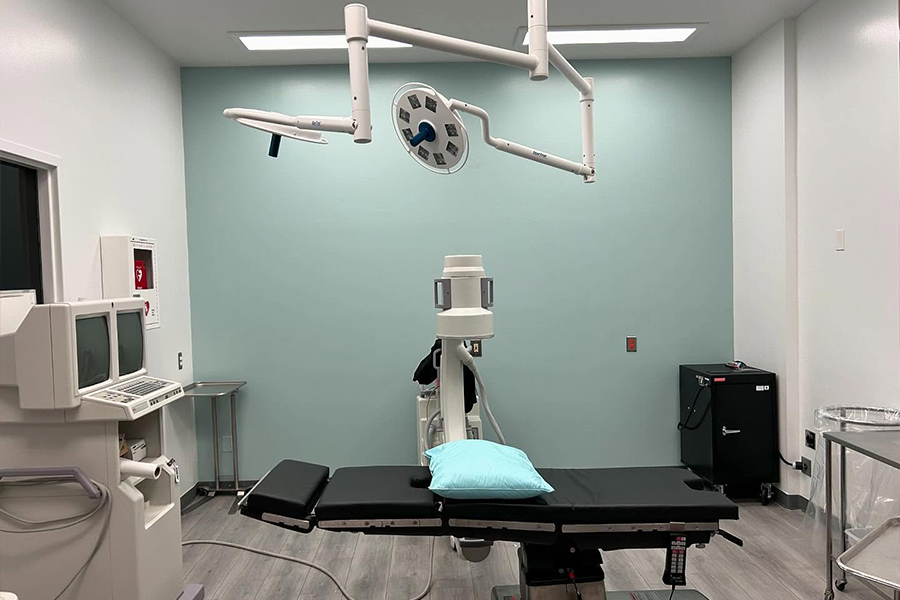 Come Meet Our Team at Florida Medical Orthopedic & Spine Institute in Lake Mary,