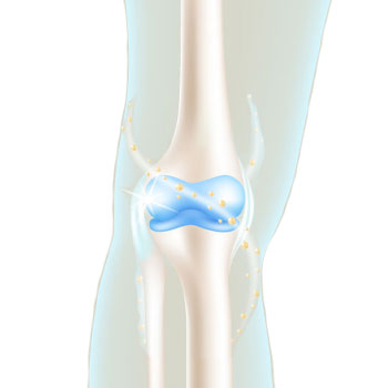during the repair process, new blood vessels form, circulation increases, inflammation decreases
