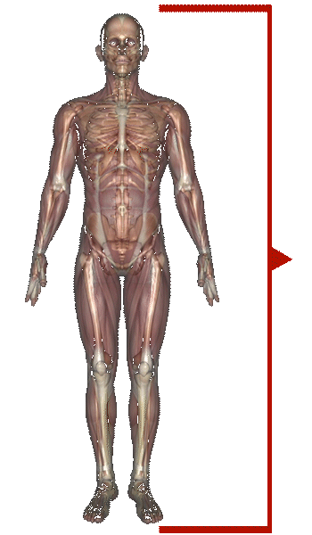 conditions Joint Rejuvenation Treats